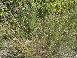 FUN in der Lobau (28)